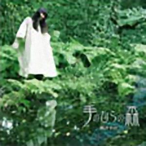 岡さやか「手のひらの森」 Sayaka OKA
